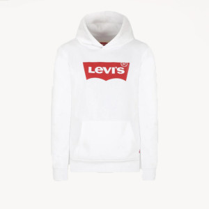 LVB-BATWING SCREENPRINT HOODIE